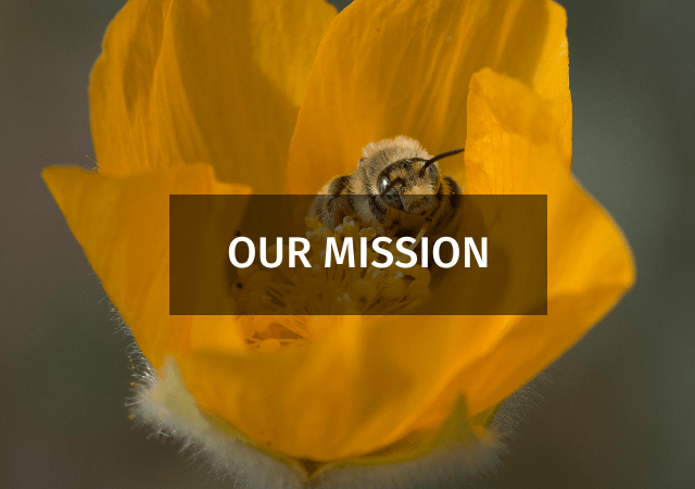 Our Mission